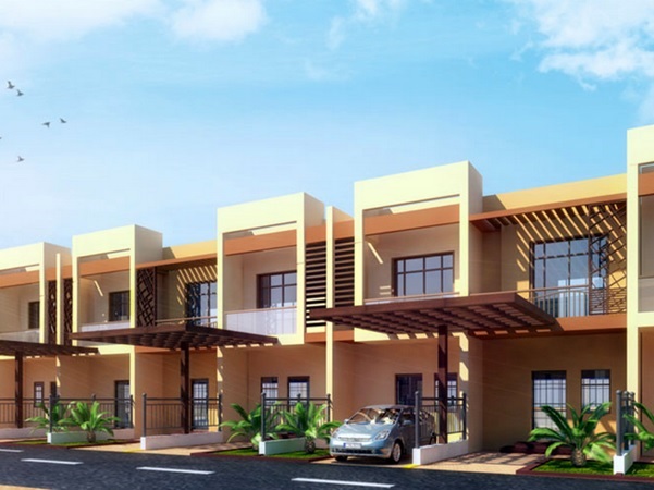 Sahara Meadows 2